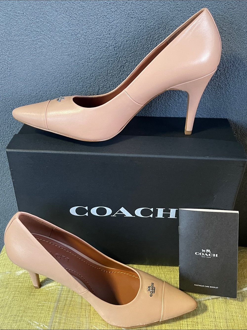 NEW COACH Patrice Nude Pointed-Toe Leather Heel Pump